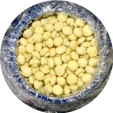 Knapsvamp i saltlage