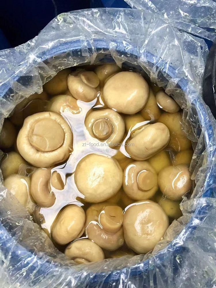 Whole white mushroom preserved in plastic drums