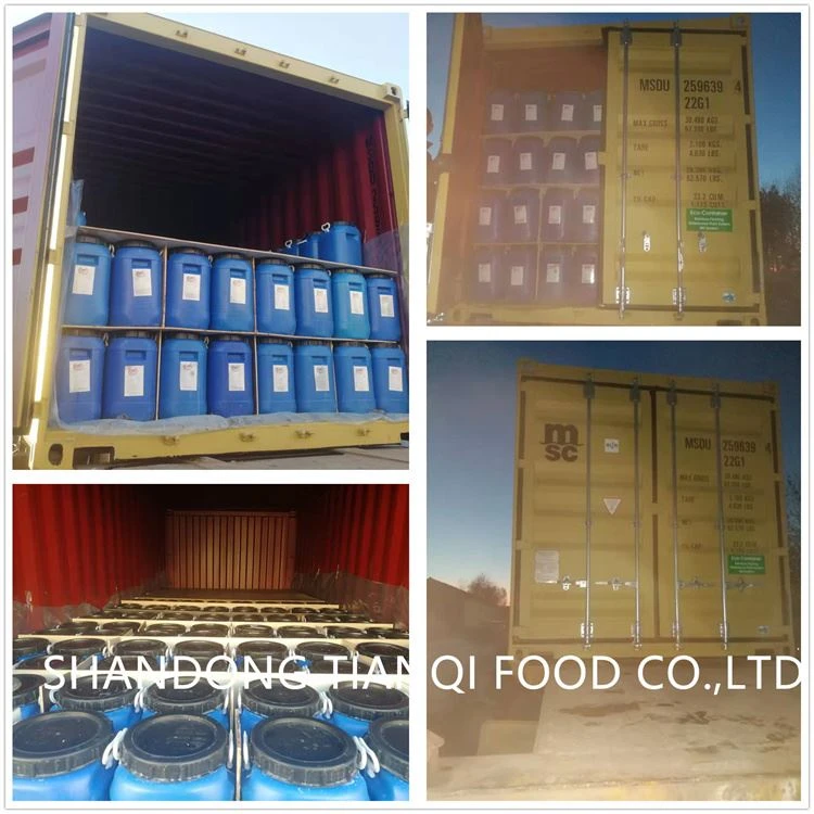 Drum packing white champignon mushroom in barrel
