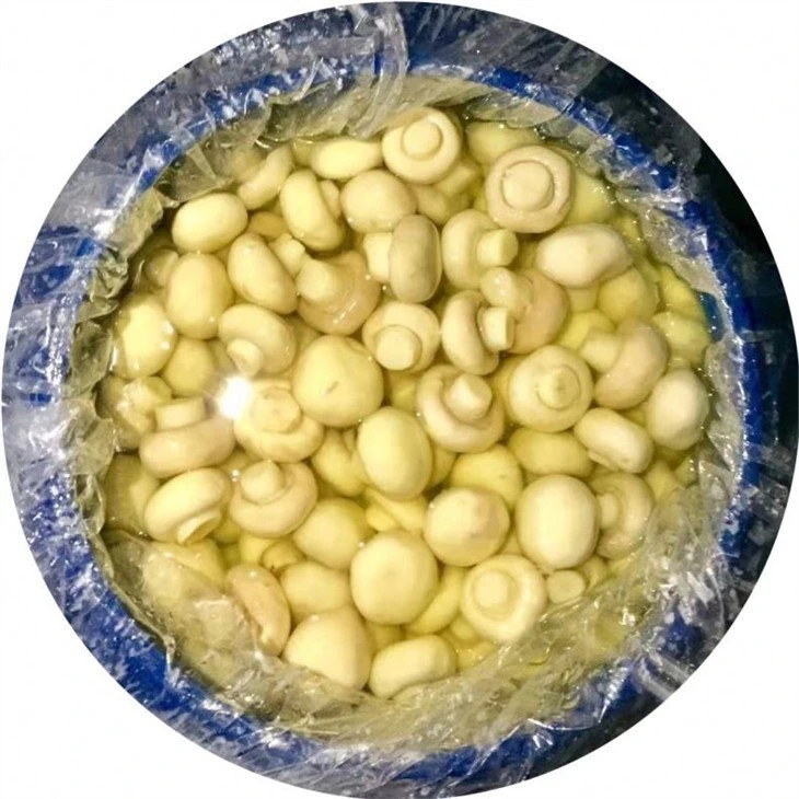 Whole champignon mushroom in brine in plastic drums
