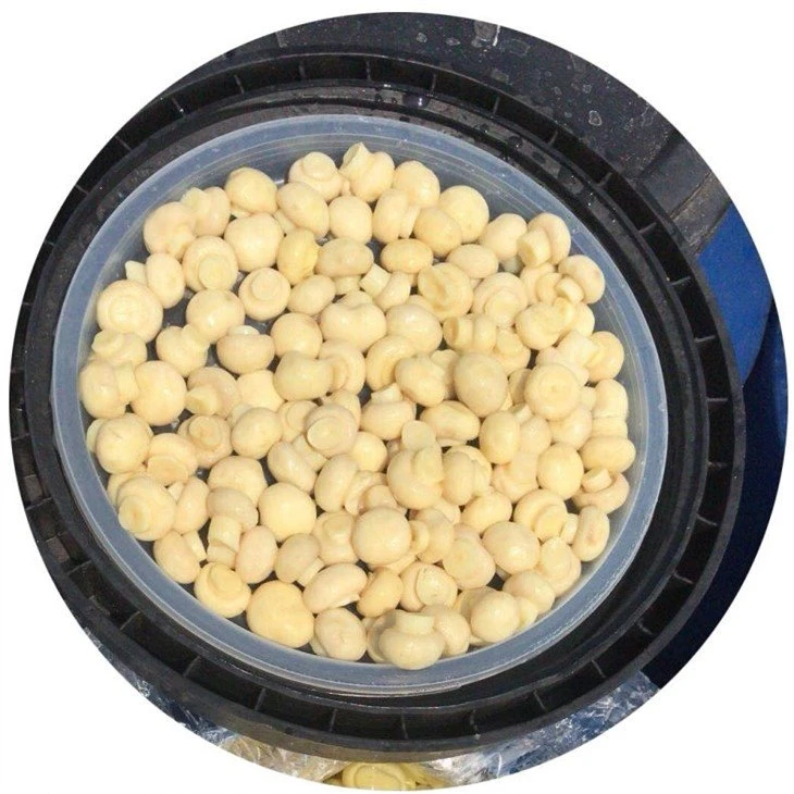 Brined whole mushroom 1.0-1.5cm in plastic drums
