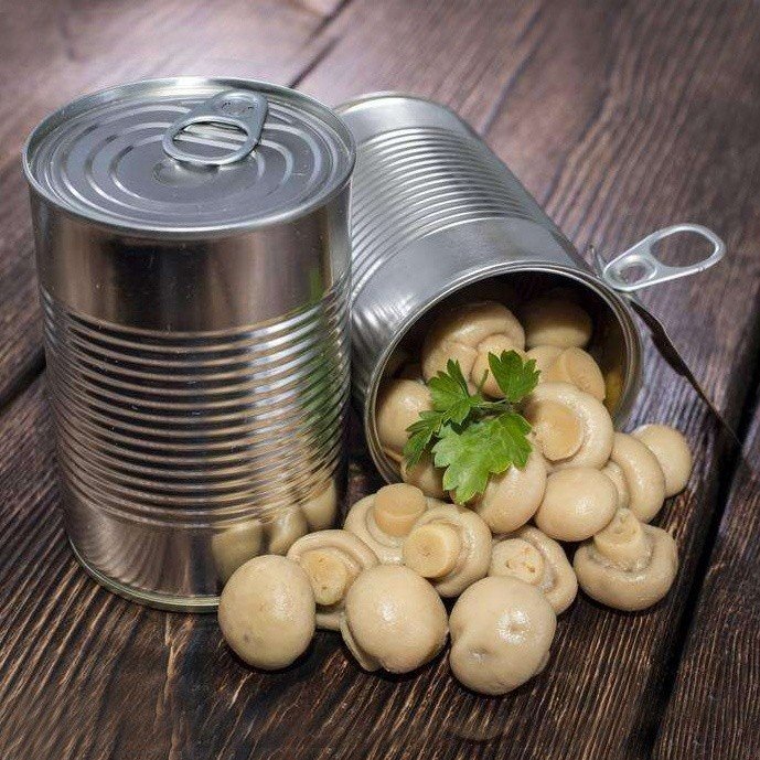 Whole champignon in brine in drums factory