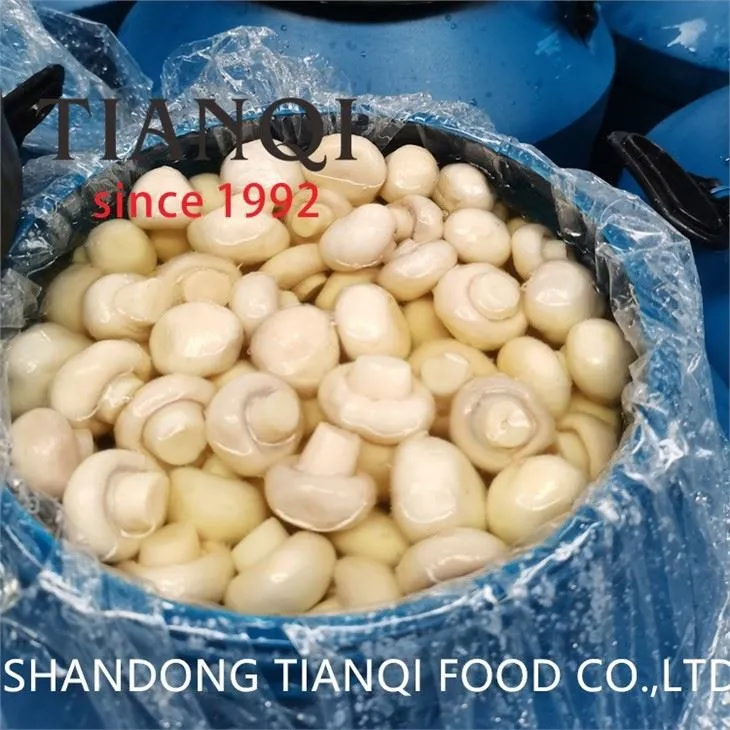 Preserved white mushroom in drums