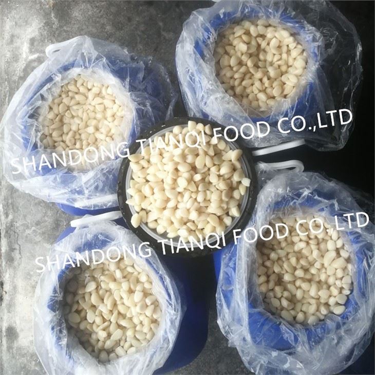 Peeled white garlic cloves in brine in plastic drums