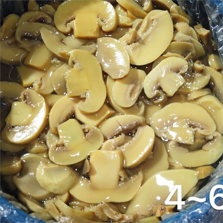 Sliced white champignon mushroom in brine in drums