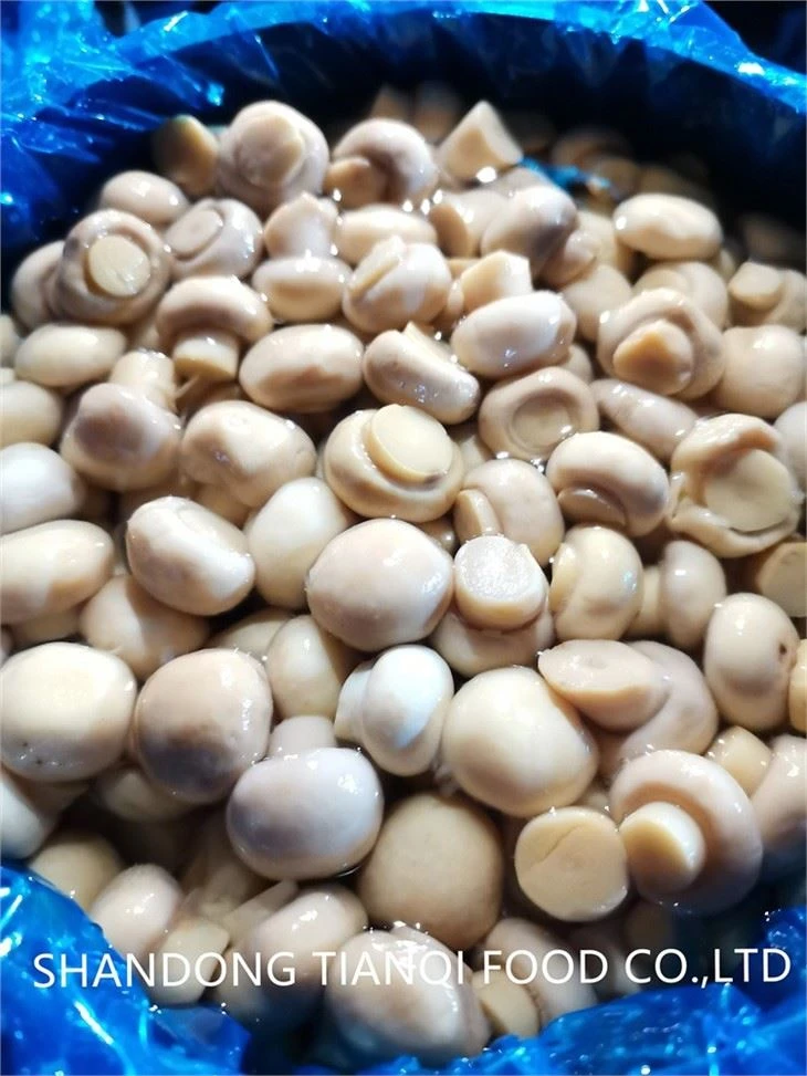 Brined whole white mushroom in plastic drums