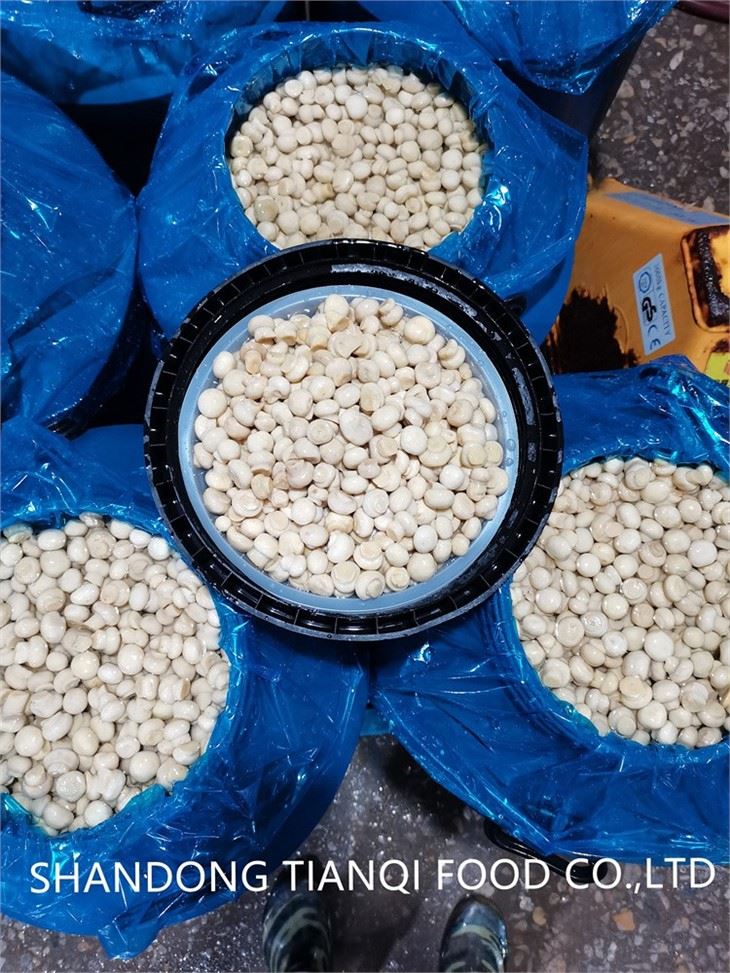 Salted champignon mushroom wholes in drum