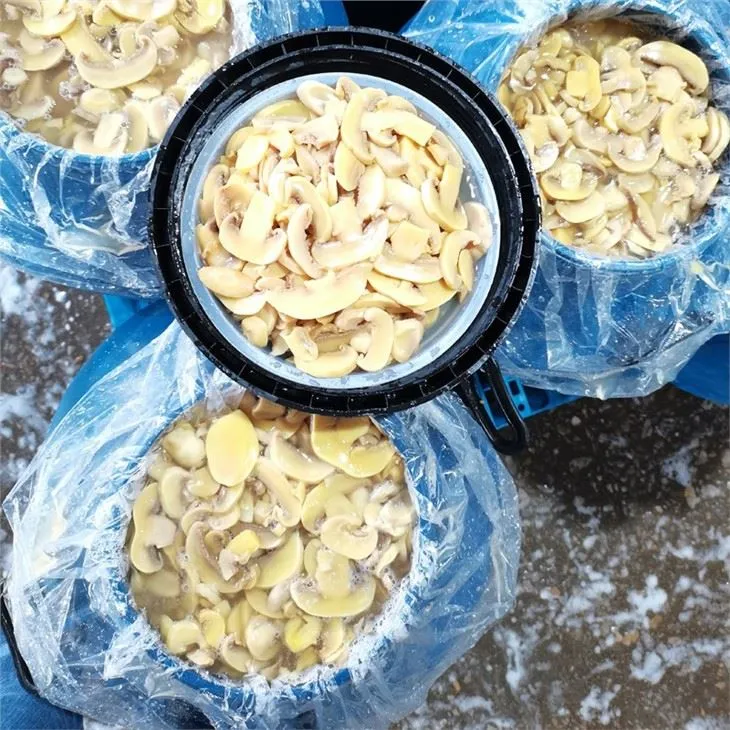 Sliced brined white mushroom in drums