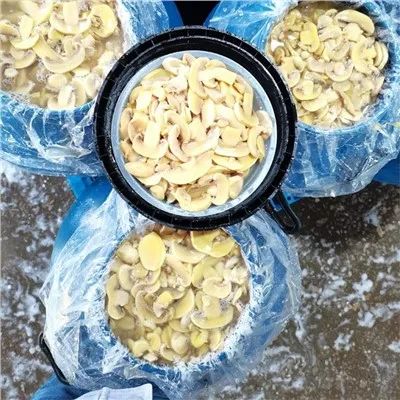 Saltet svamp i plasttromler
