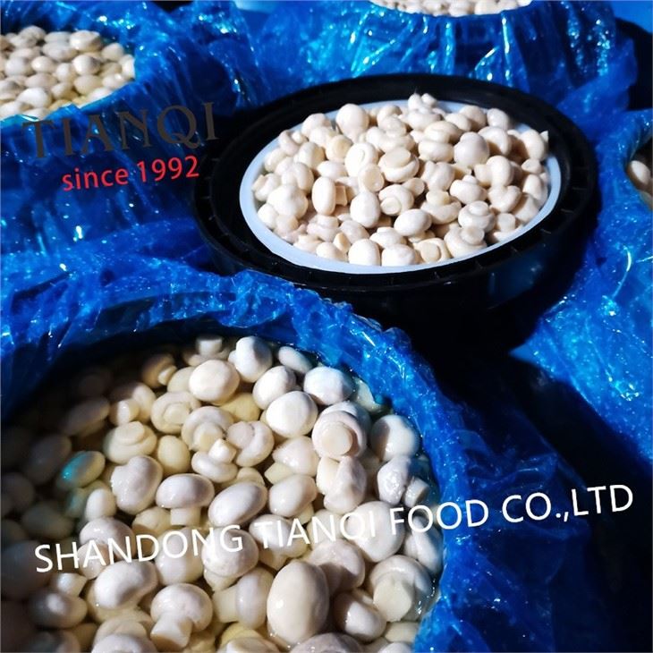 White champignon mushrooms slices packing in drum for exporting