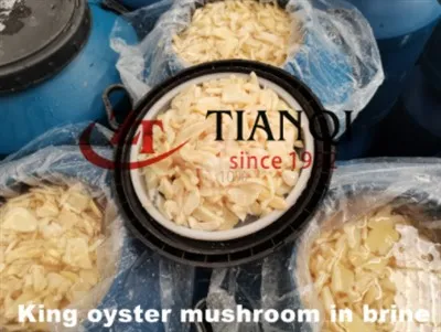 King Olyster Svamp i Lage i Tromler Med Høj Kvalitet